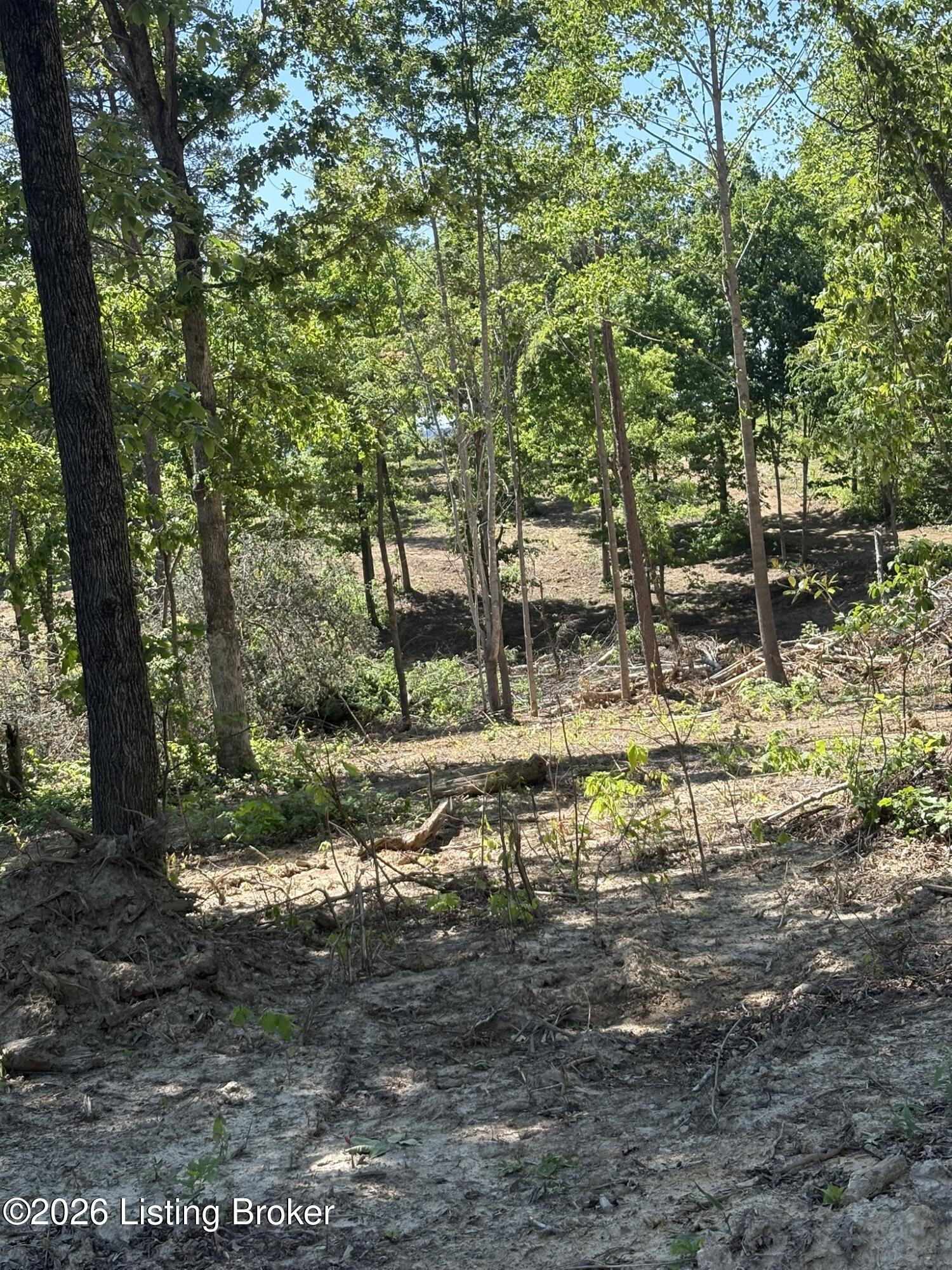 89 Ac Cub Run Rd Property Photo 28