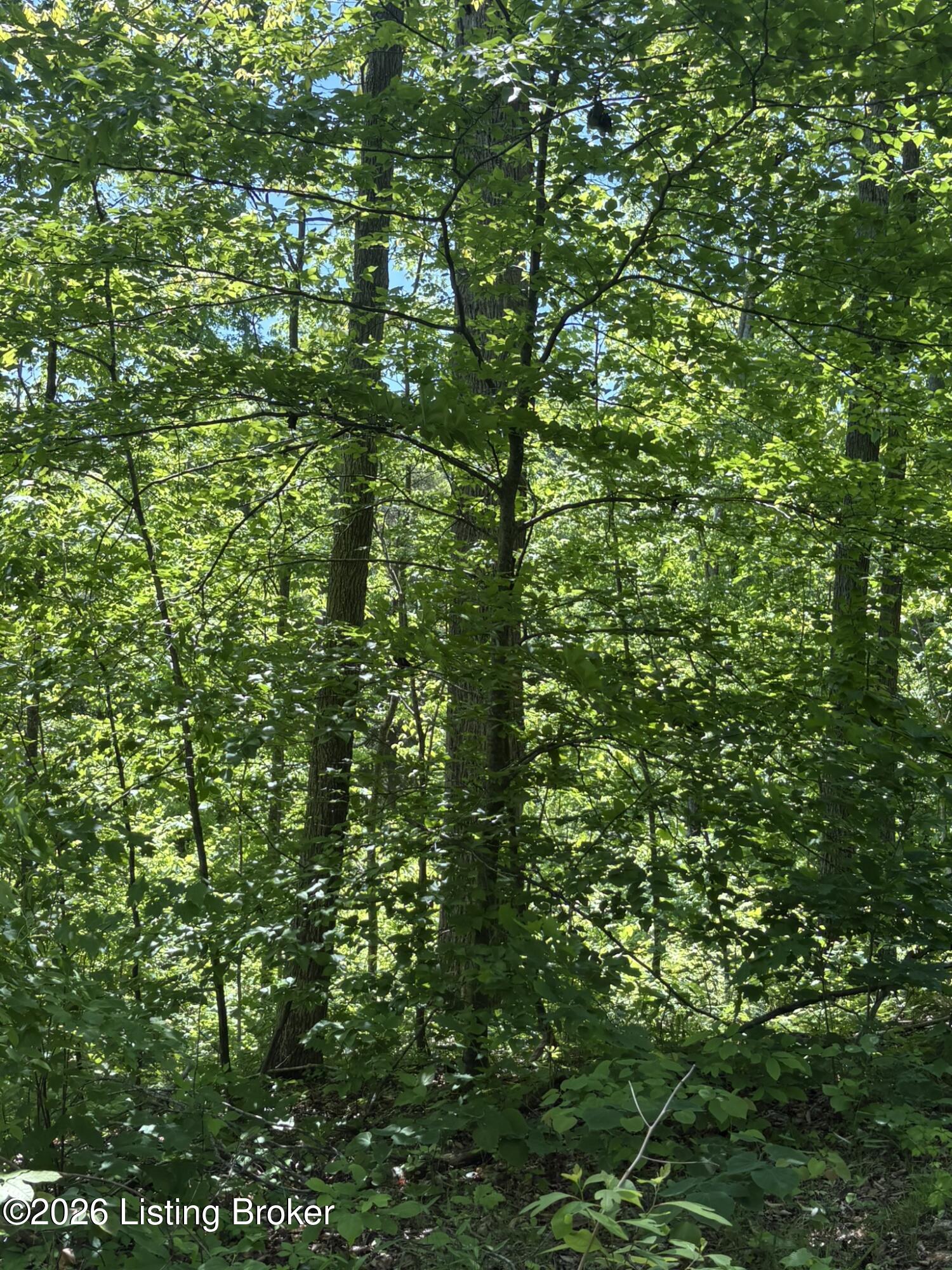 89 Ac Cub Run Rd Property Photo 29