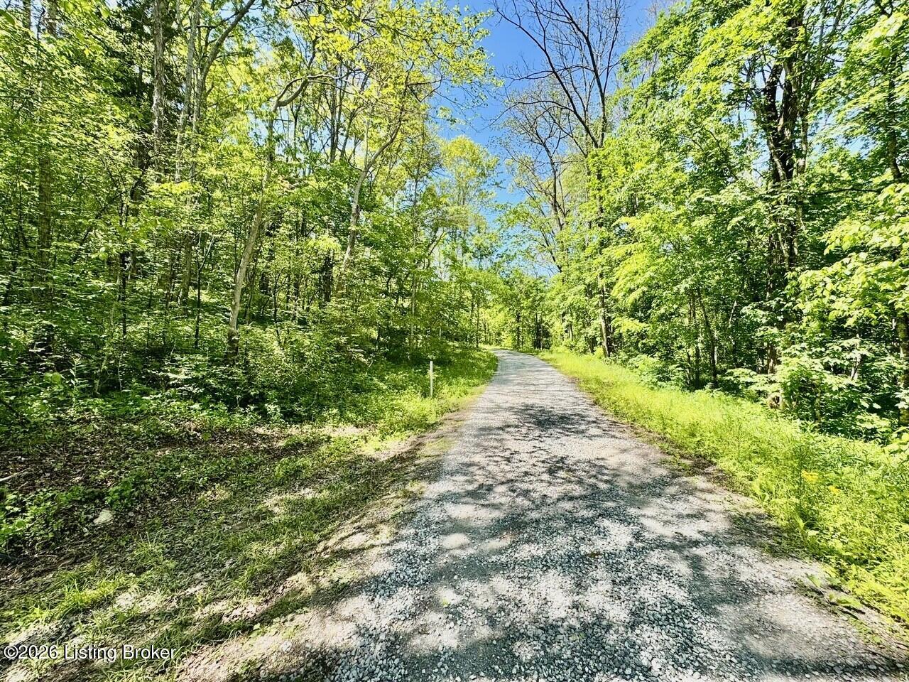 0 Three Lick Rd Property Photo 2