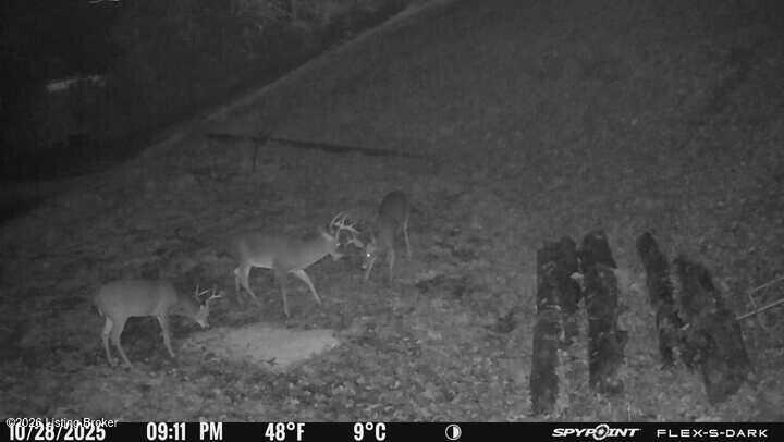 0 Three Lick Rd Property Photo 4