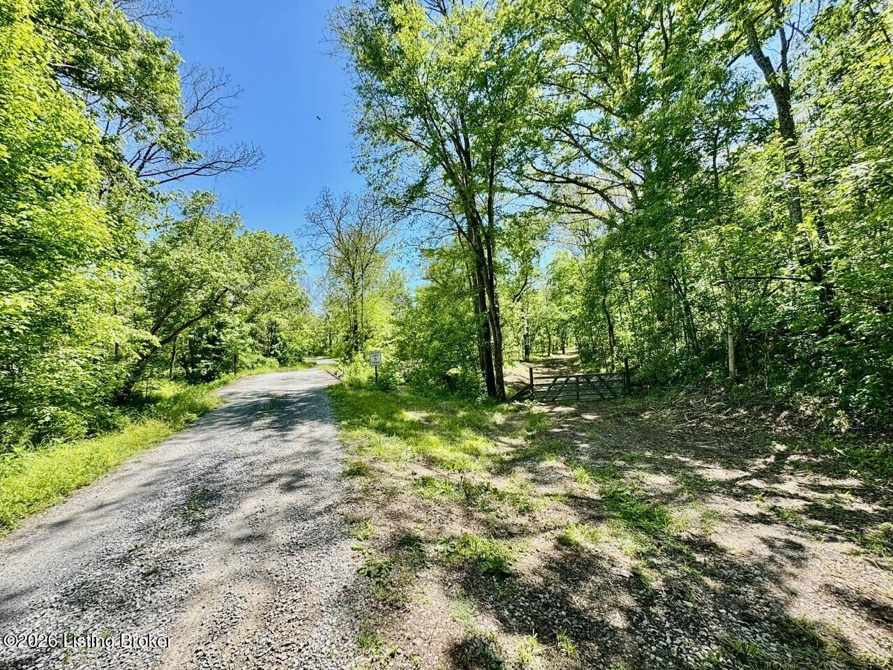 0 Three Lick Rd Property Photo 8