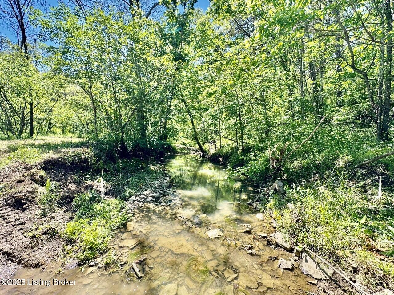 0 Three Lick Rd Property Photo 10