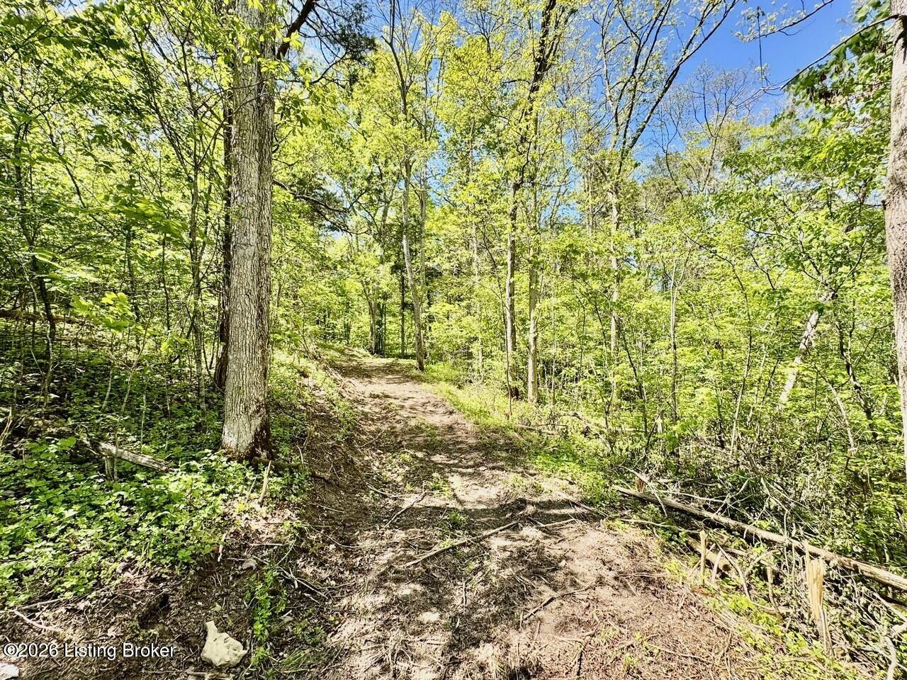 0 Three Lick Rd Property Photo 11