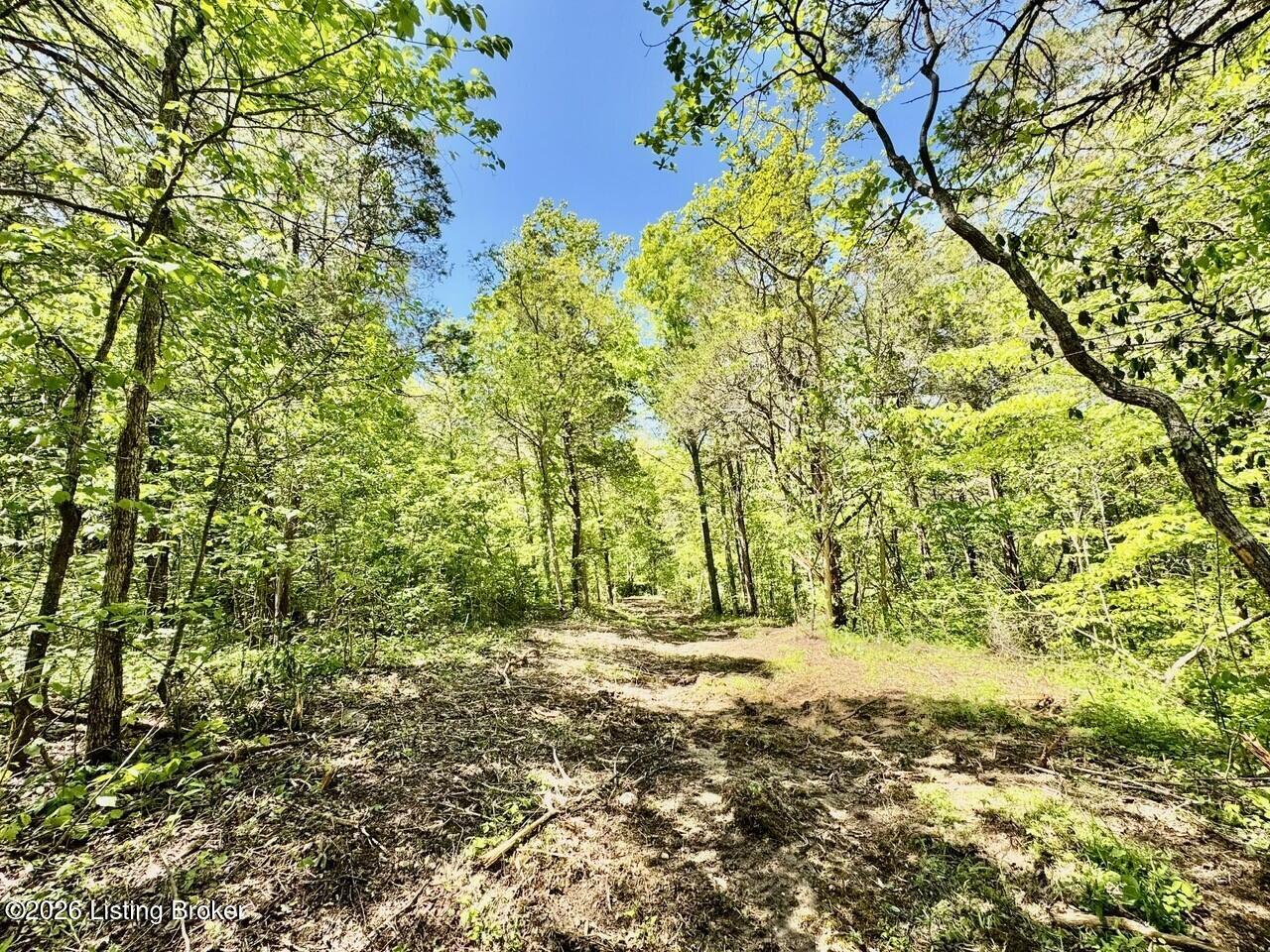 0 Three Lick Rd Property Photo 12
