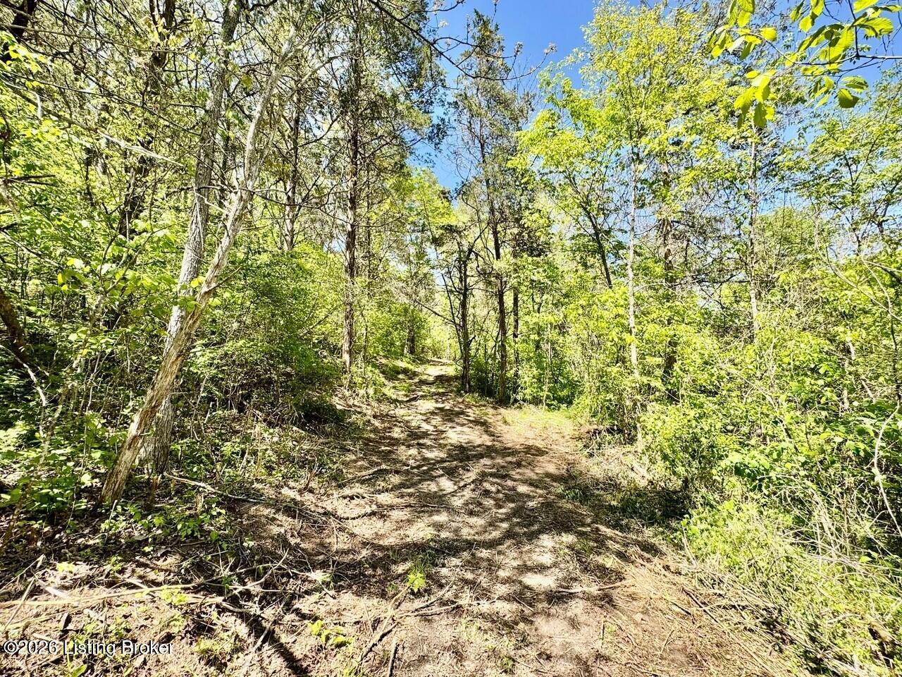 0 Three Lick Rd Property Photo 13