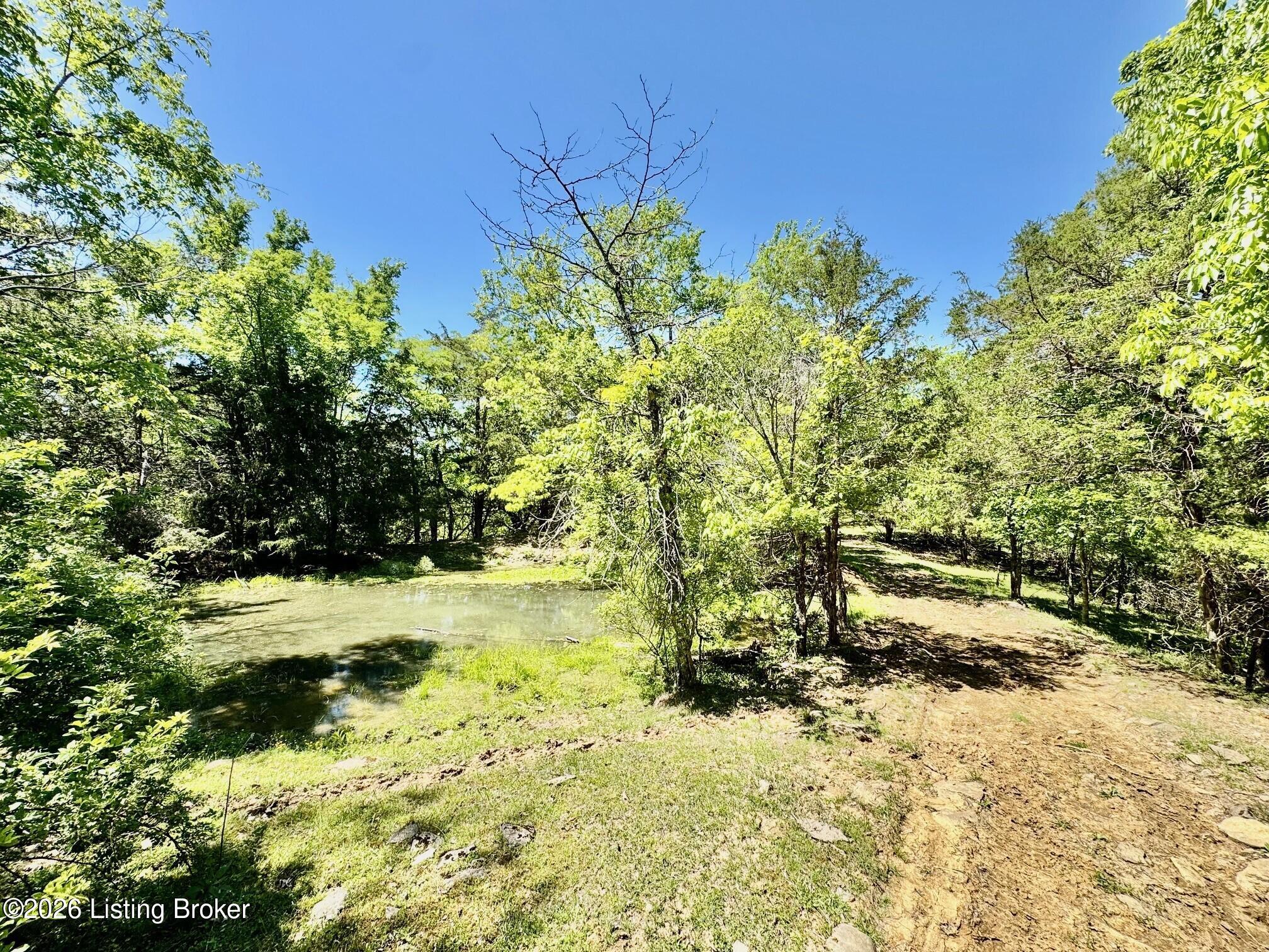 0 Three Lick Rd Property Photo 15