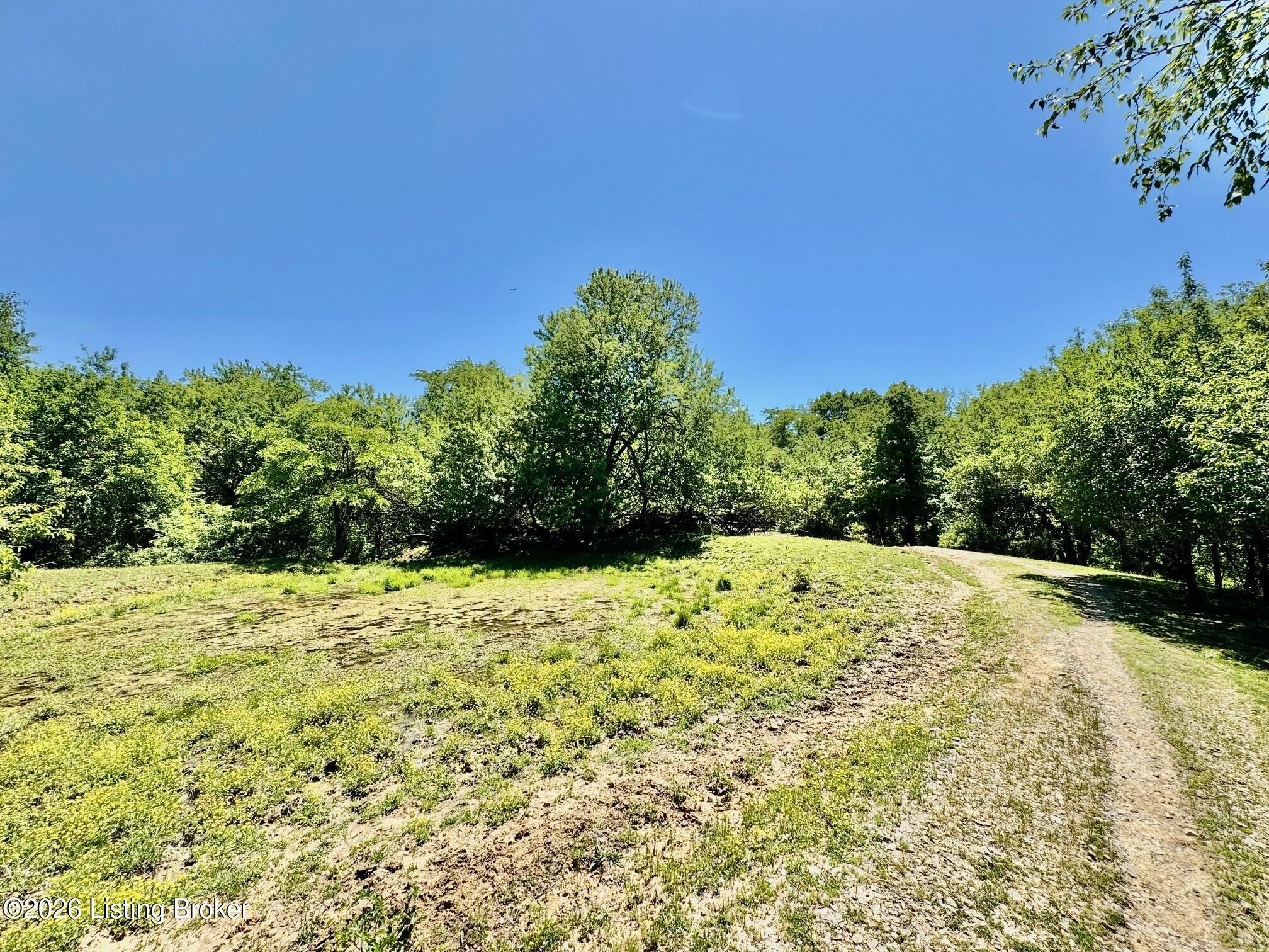 0 Three Lick Rd Property Photo 17