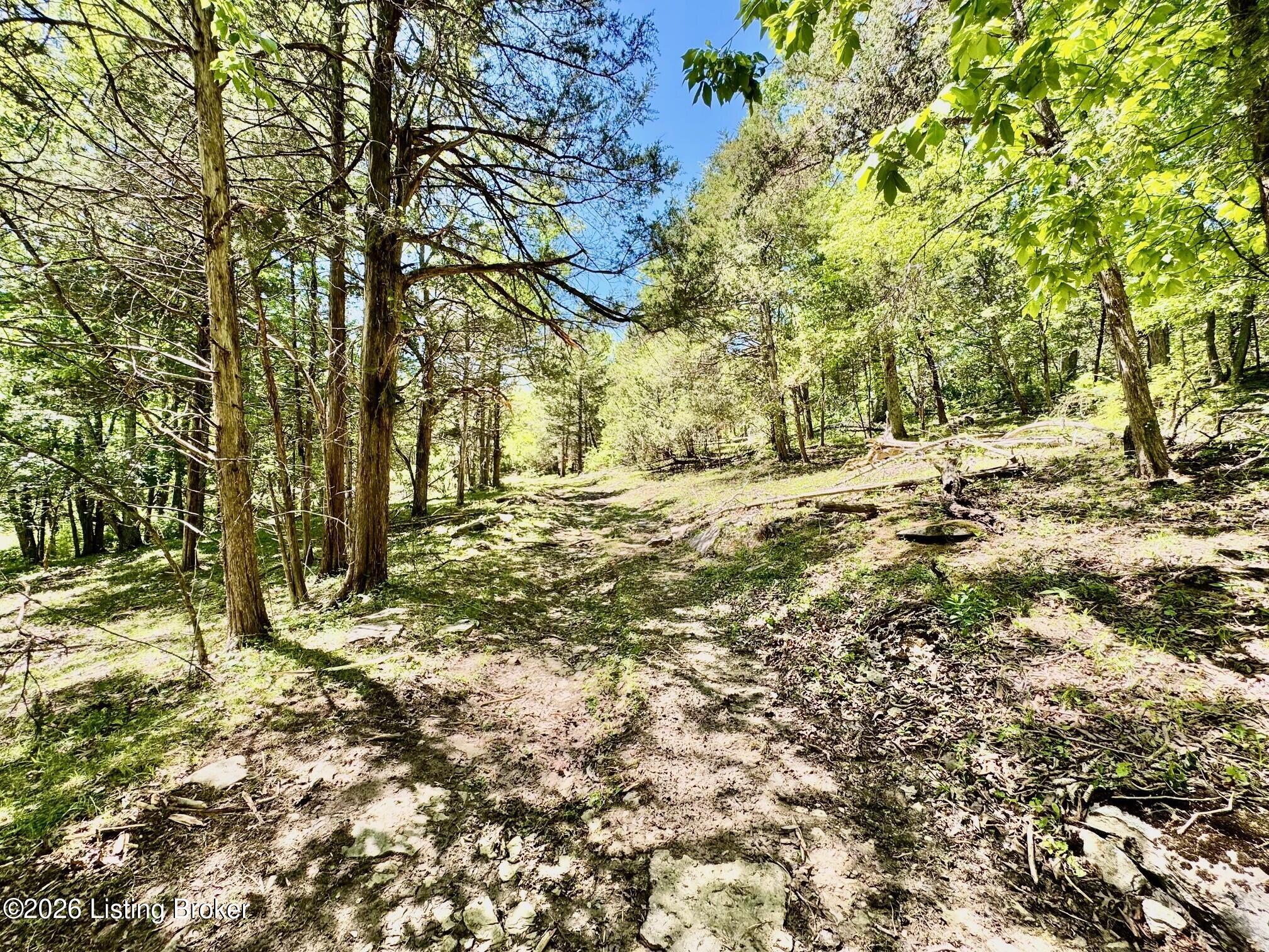 0 Three Lick Rd Property Photo 18