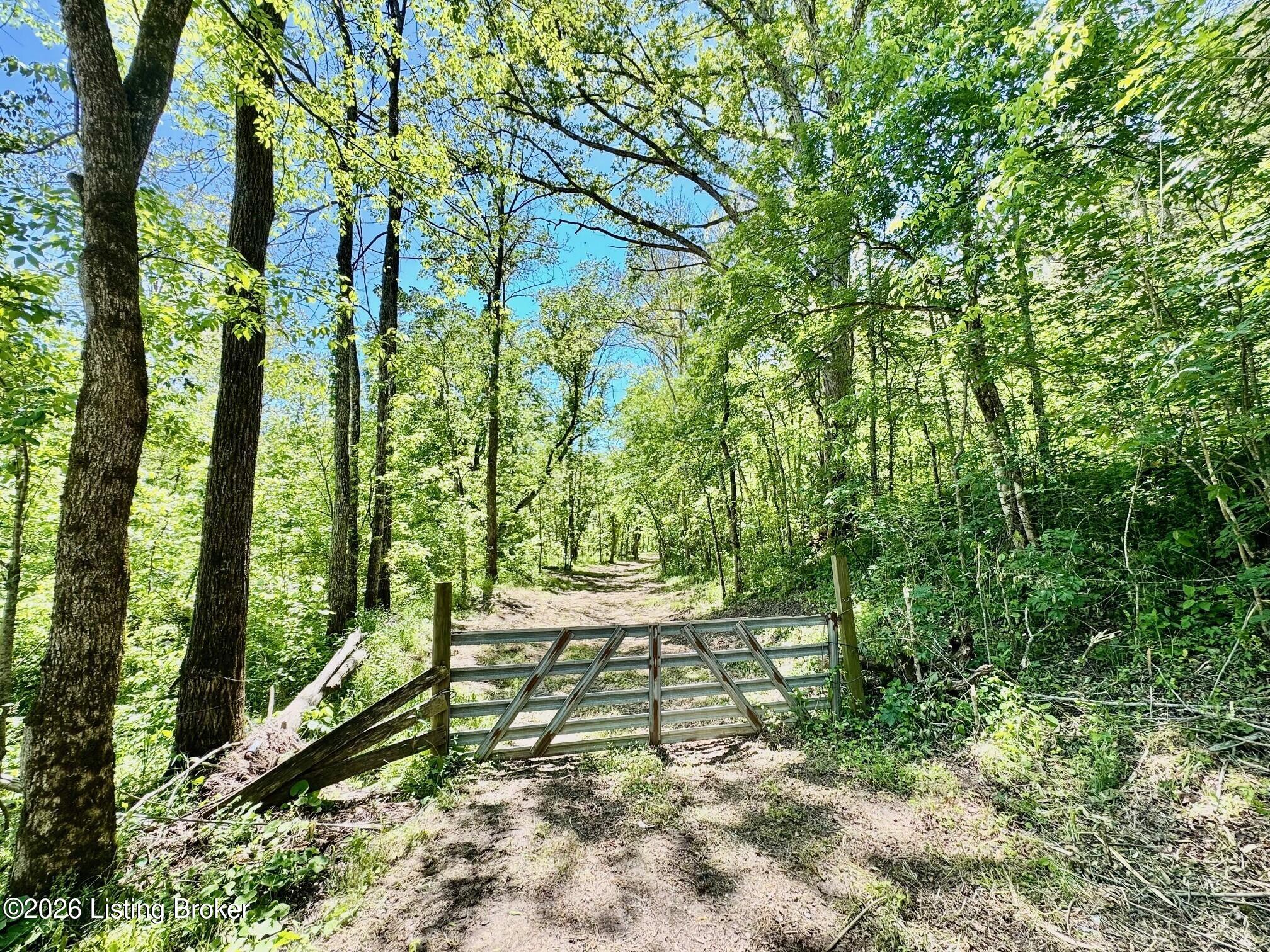 0 Three Lick Rd Property Photo 19