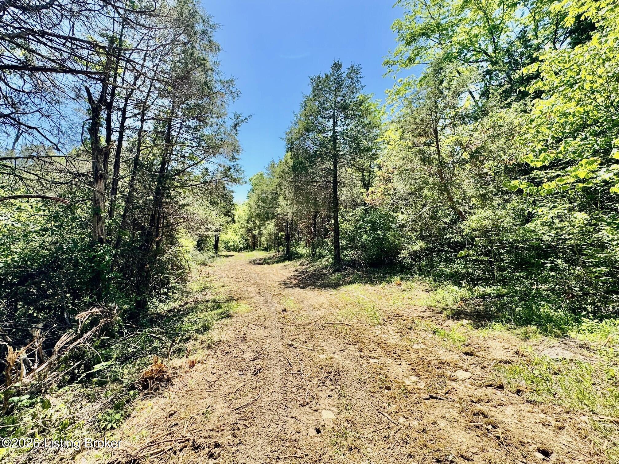 0 Three Lick Rd Property Photo 20