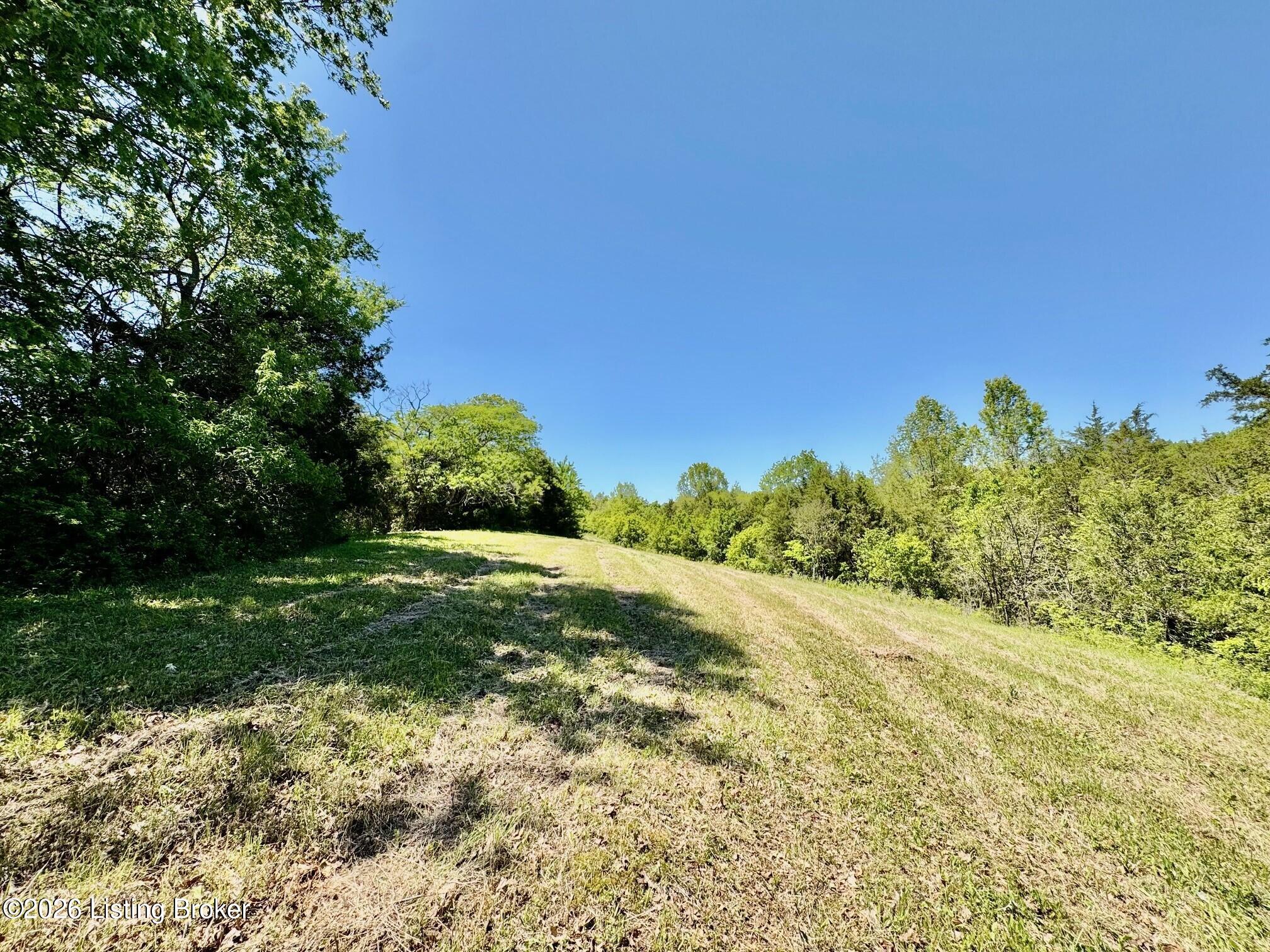 0 Three Lick Rd Property Photo 21