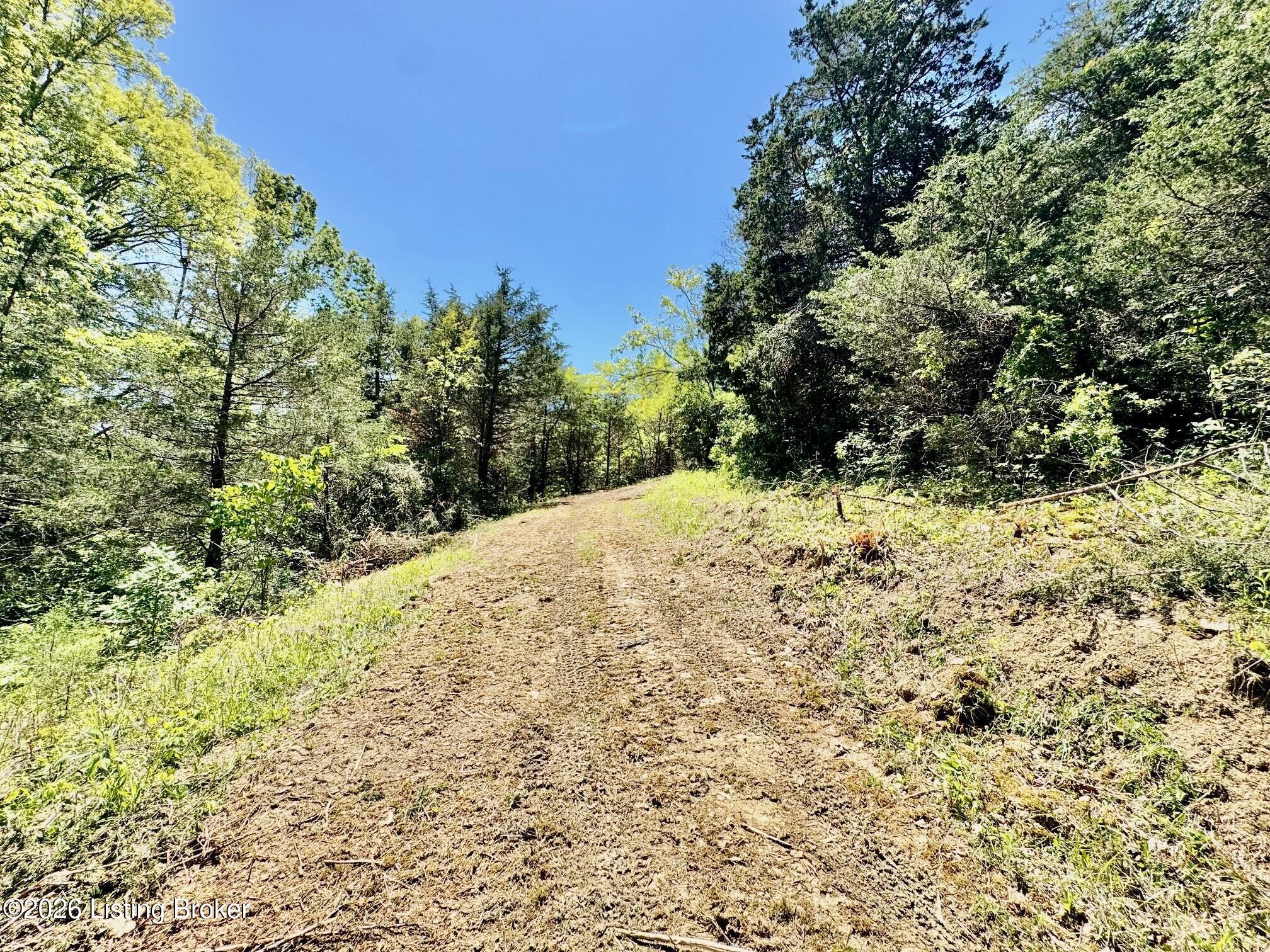 0 Three Lick Rd Property Photo 22