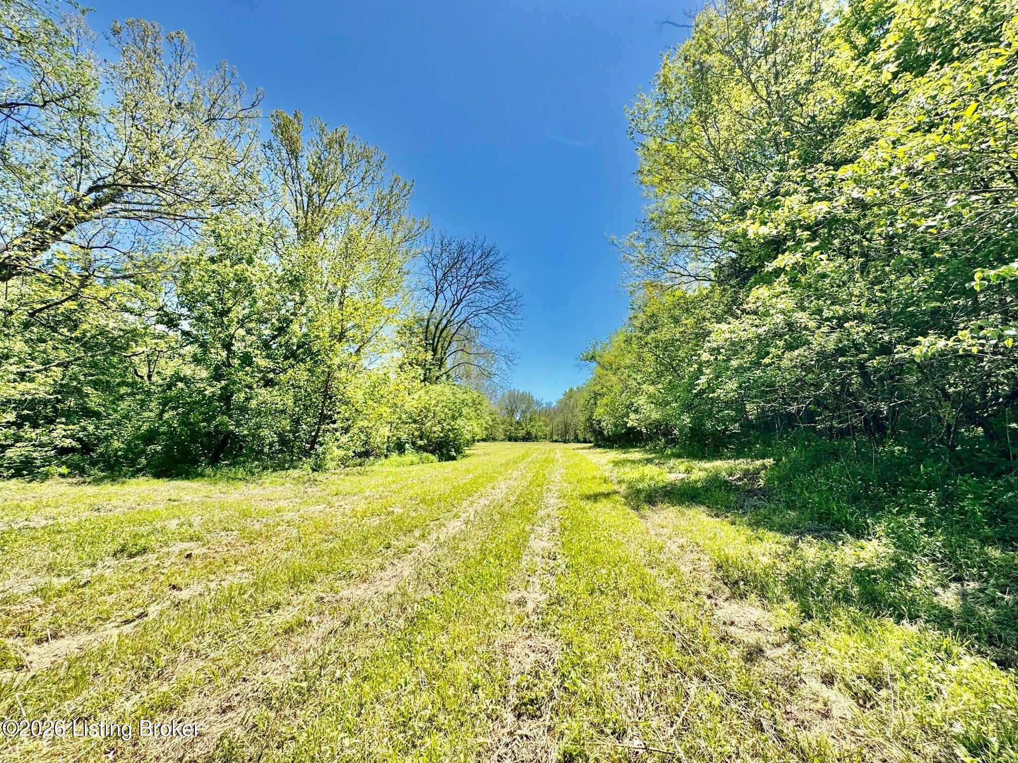 0 Three Lick Rd Property Photo 24