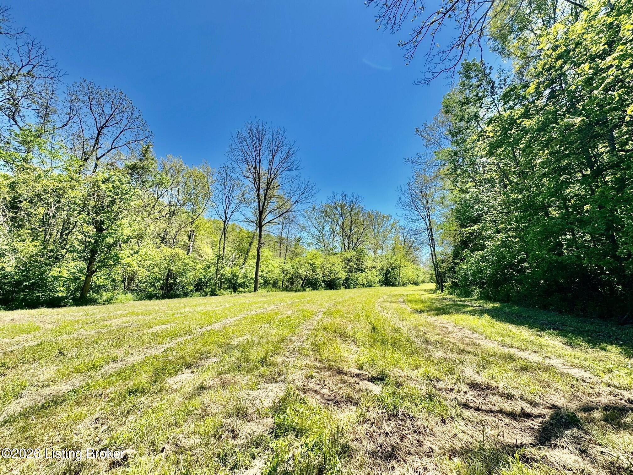 0 Three Lick Rd Property Photo 25