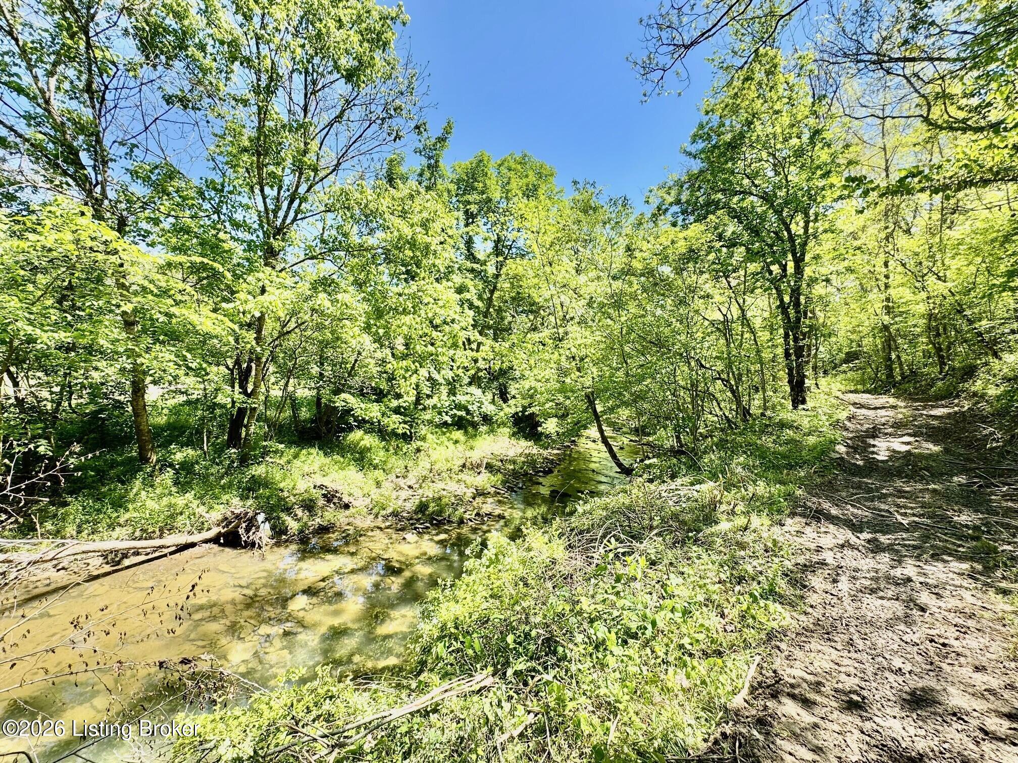 0 Three Lick Rd Property Photo 26