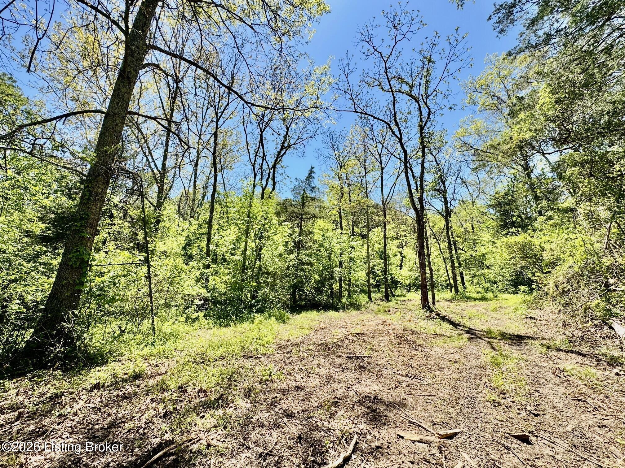0 Three Lick Rd Property Photo 28