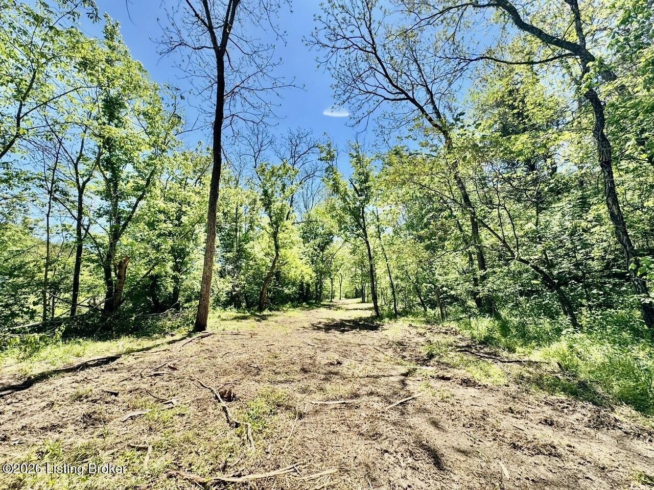 0 Three Lick Rd Property Photo 29