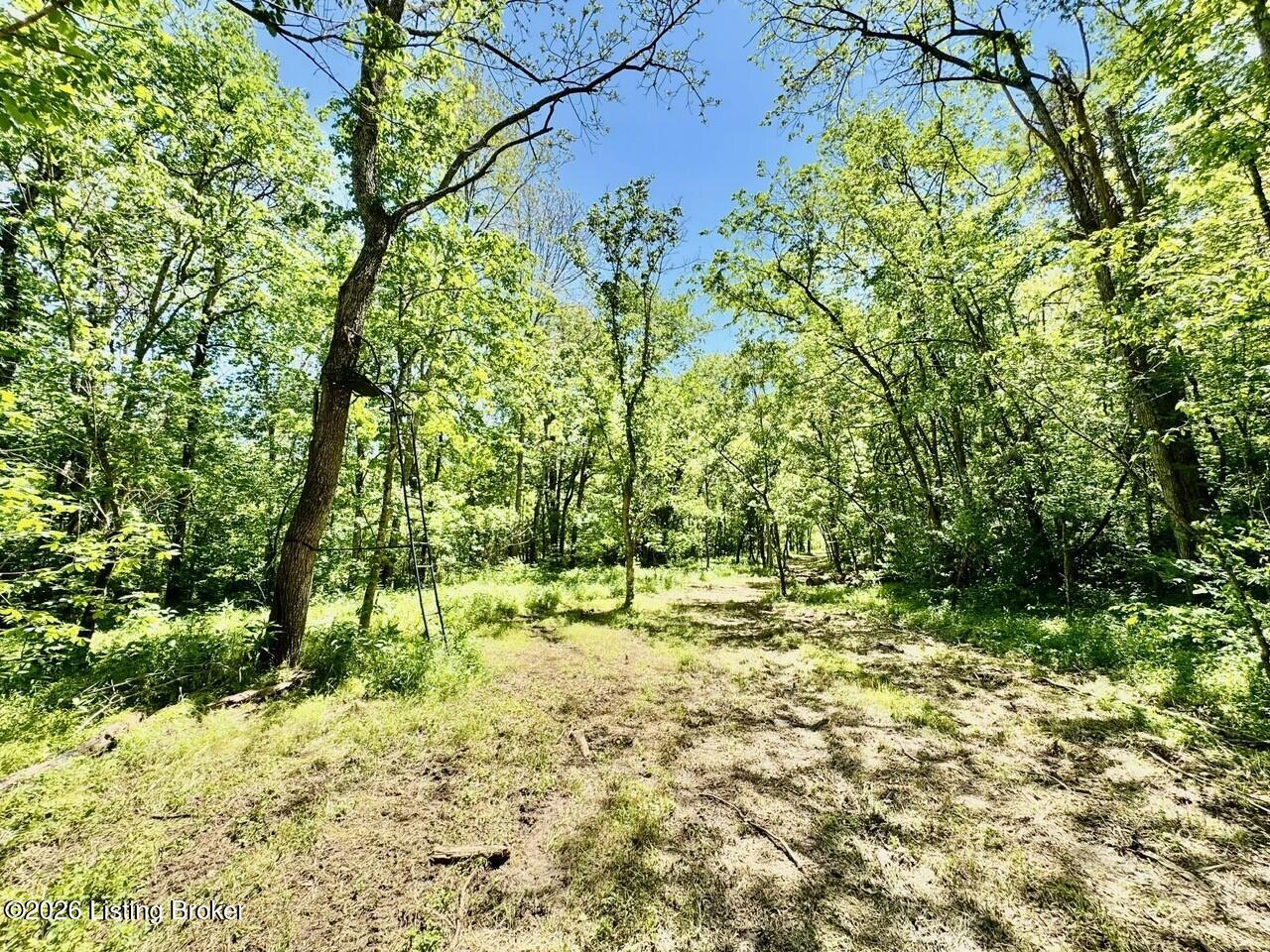 0 Three Lick Rd Property Photo 30