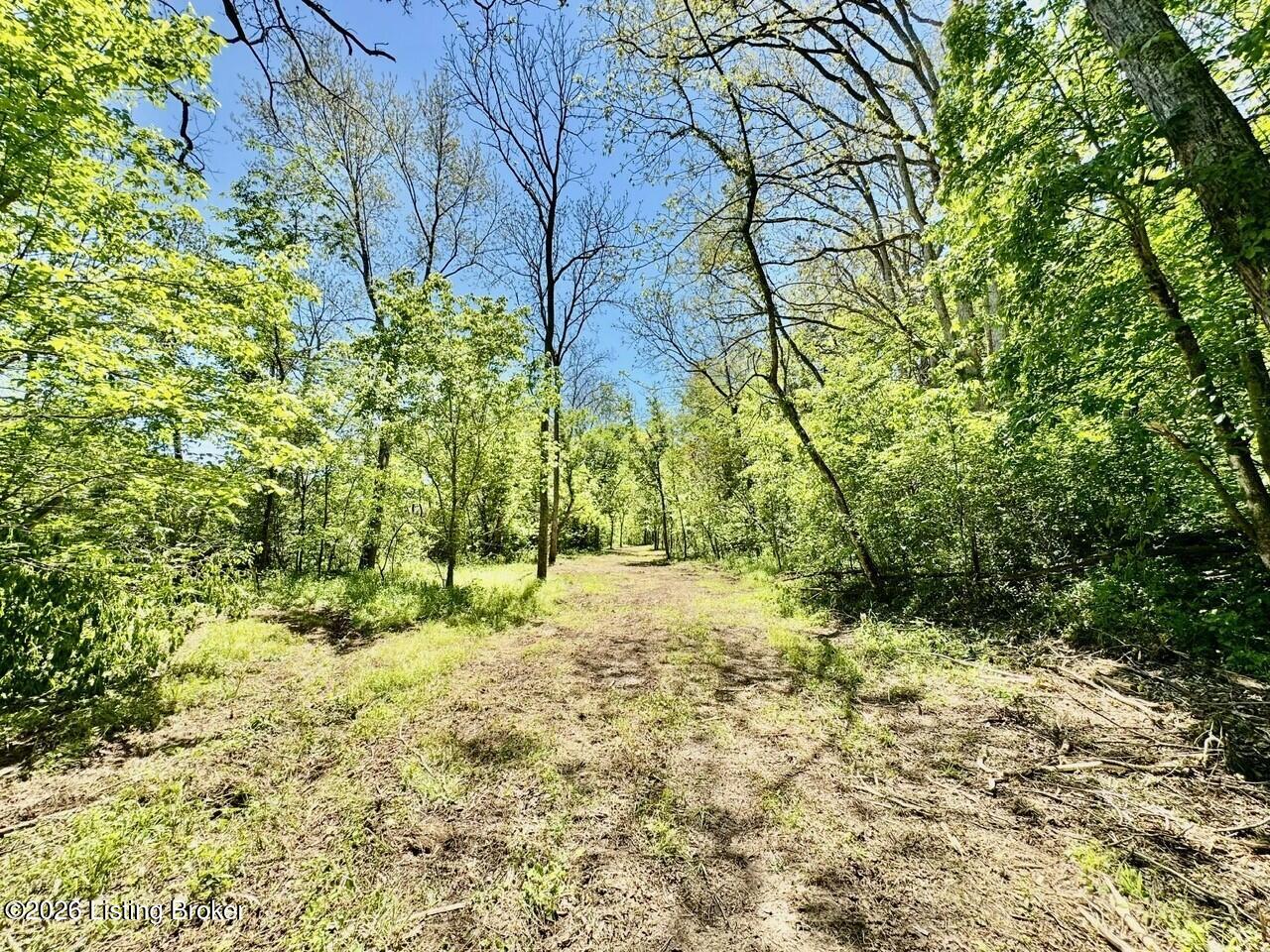 0 Three Lick Rd Property Photo 31