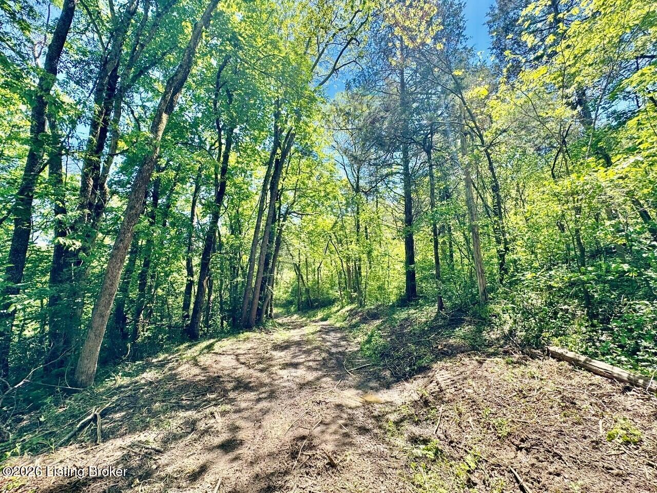 0 Three Lick Rd Property Photo 32