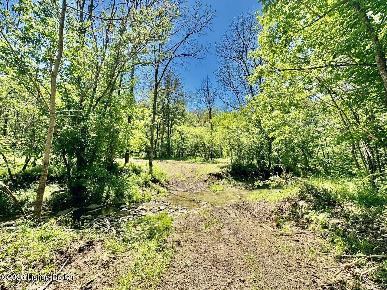 0 Three Lick Rd Property Photo 33