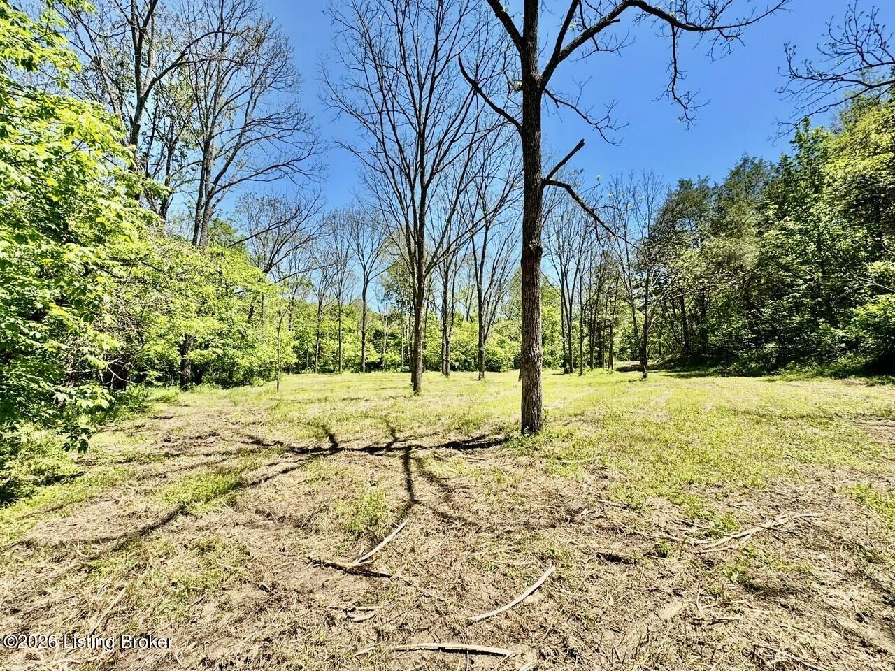 0 Three Lick Rd Property Photo 34