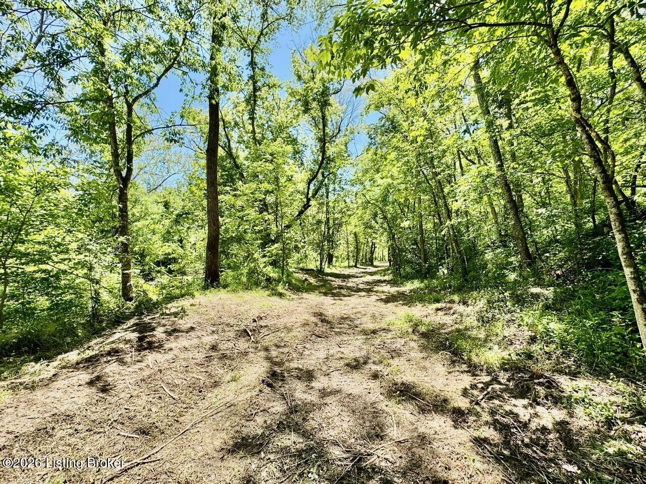 0 Three Lick Rd Property Photo 35