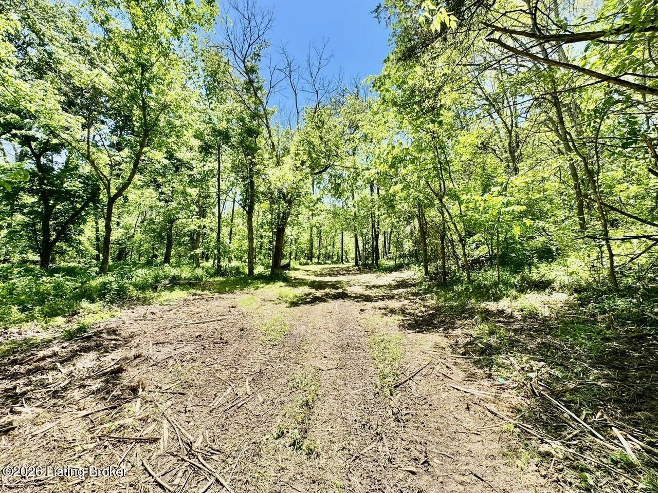 0 Three Lick Rd Property Photo 36