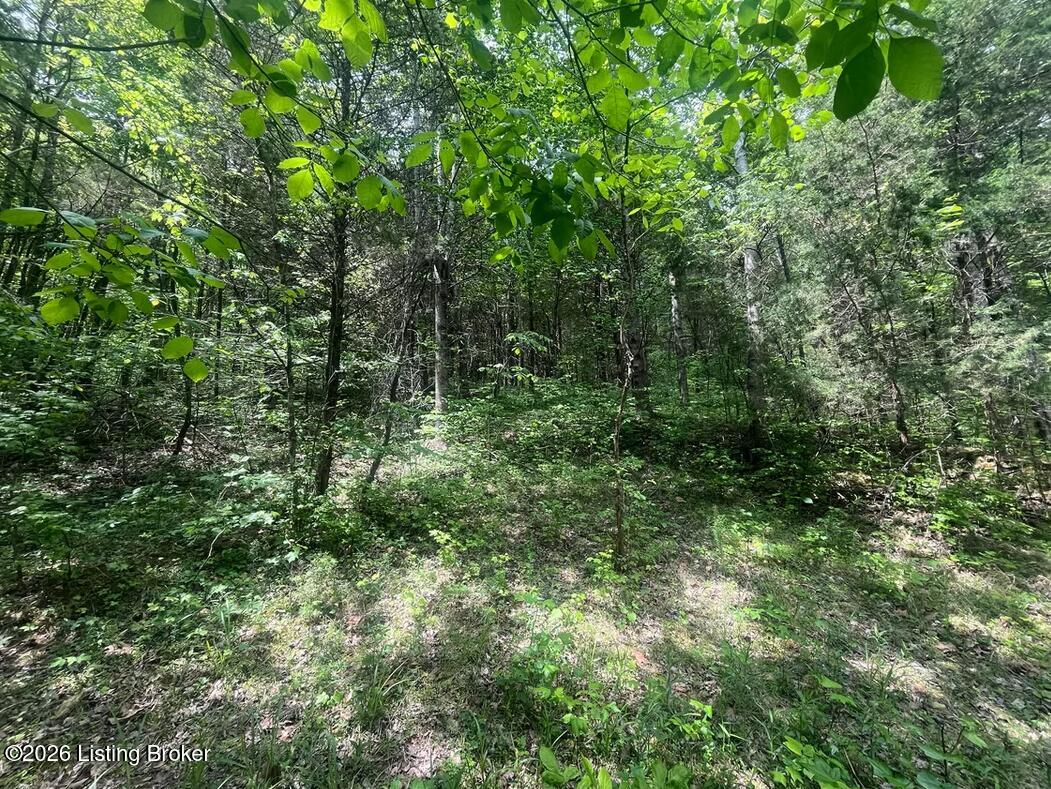 449 Doug Thompson Rd Property Photo 5