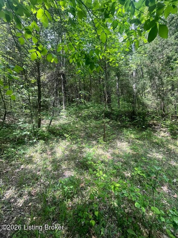 449 Doug Thompson Rd Property Photo 6