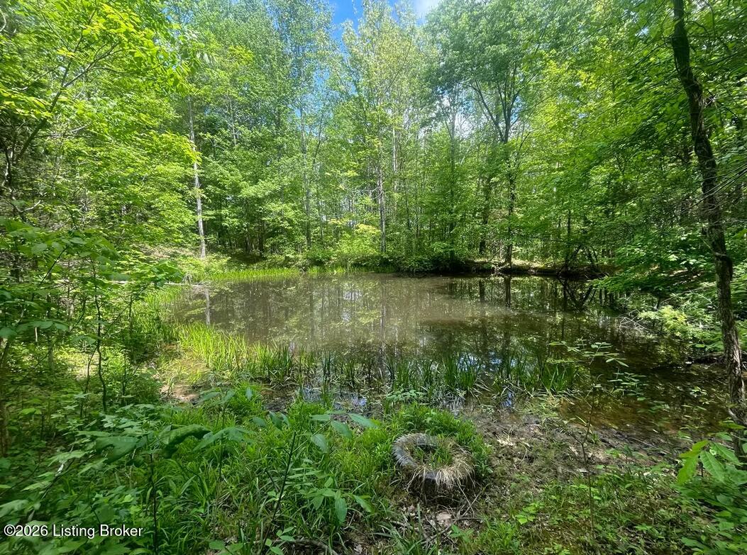 449 Doug Thompson Rd Property Photo 9