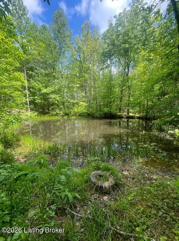 449 Doug Thompson Rd Property Photo 10