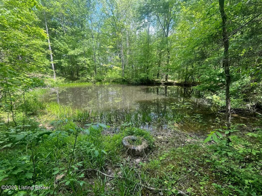 449 Doug Thompson Rd Property Photo 12