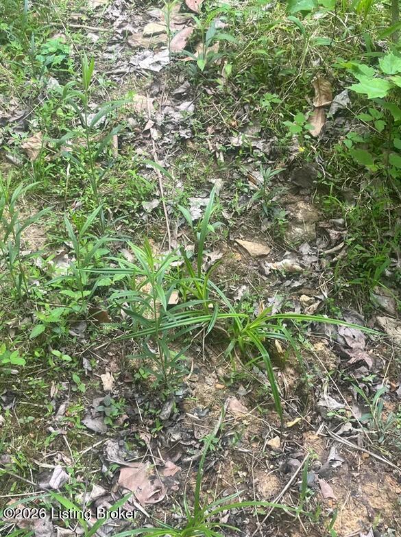 449 Doug Thompson Rd Property Photo 13