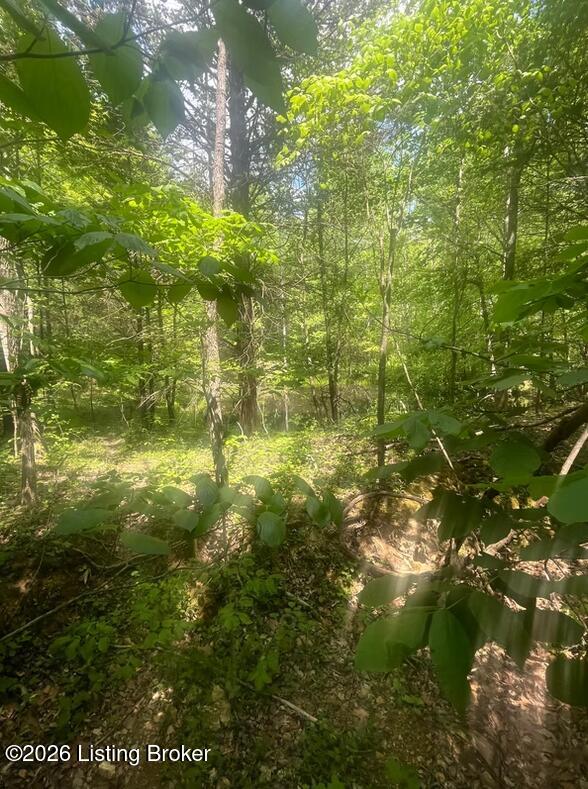 449 Doug Thompson Rd Property Photo 18