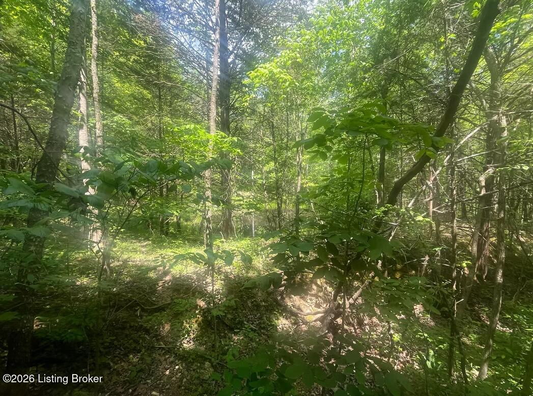 449 Doug Thompson Rd Property Photo 19