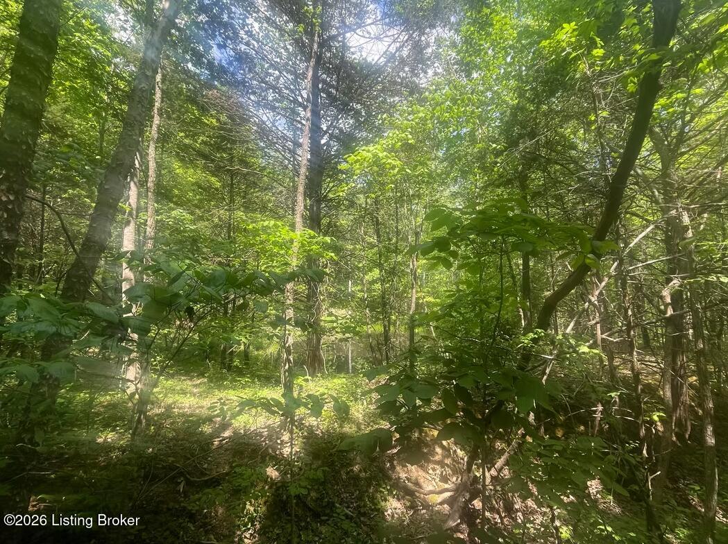 449 Doug Thompson Rd Property Photo 22