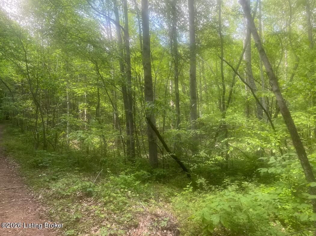 449 Doug Thompson Rd Property Photo 27