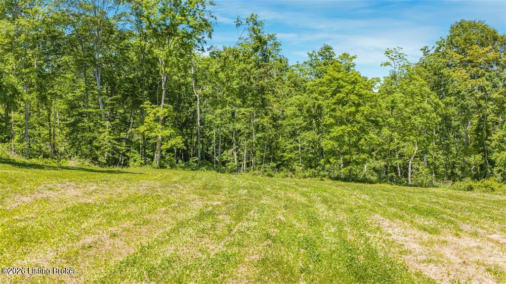 0 Clifty Hollow Rd Property Photo 1