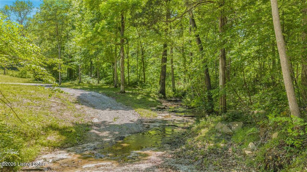 0 Clifty Hollow Rd Property Photo 2