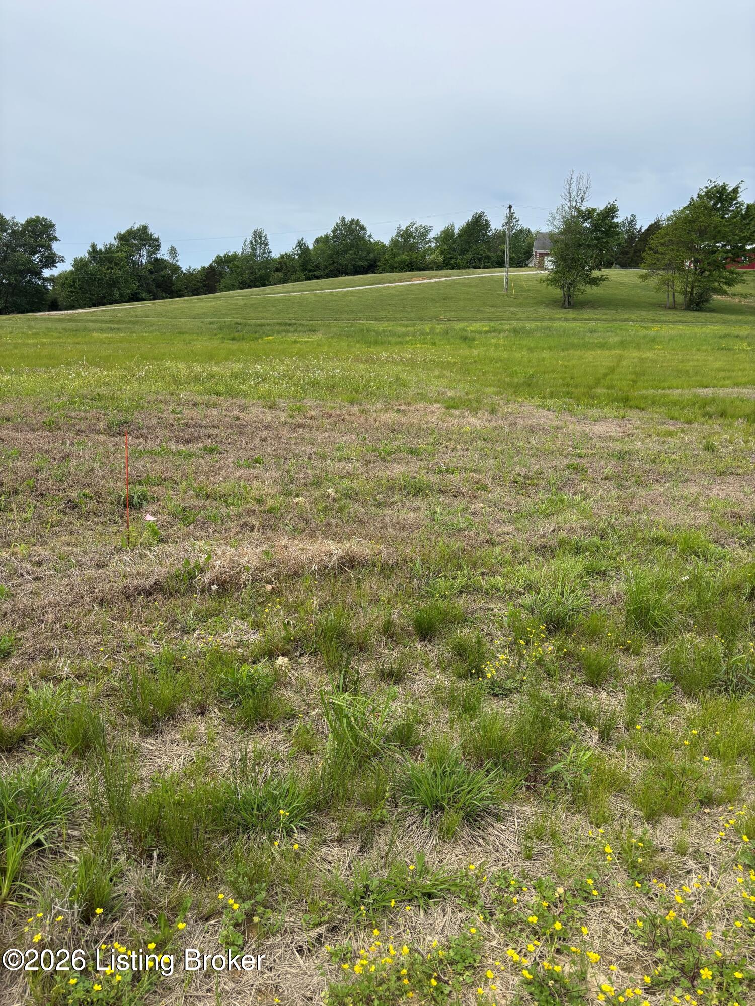 127 Kidd Ct Property Photo 2