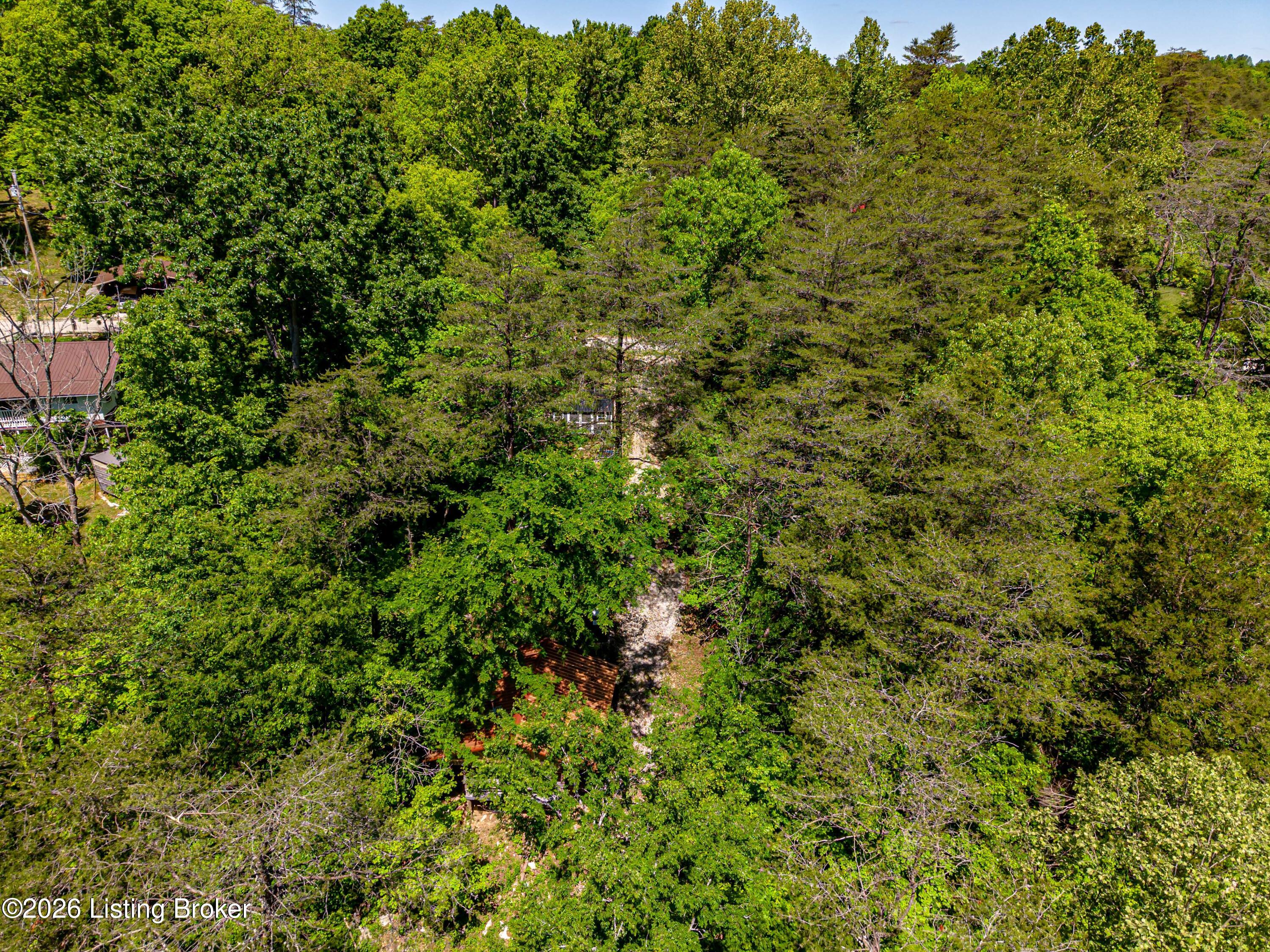 873 Pine Haven Rd Property Photo 7
