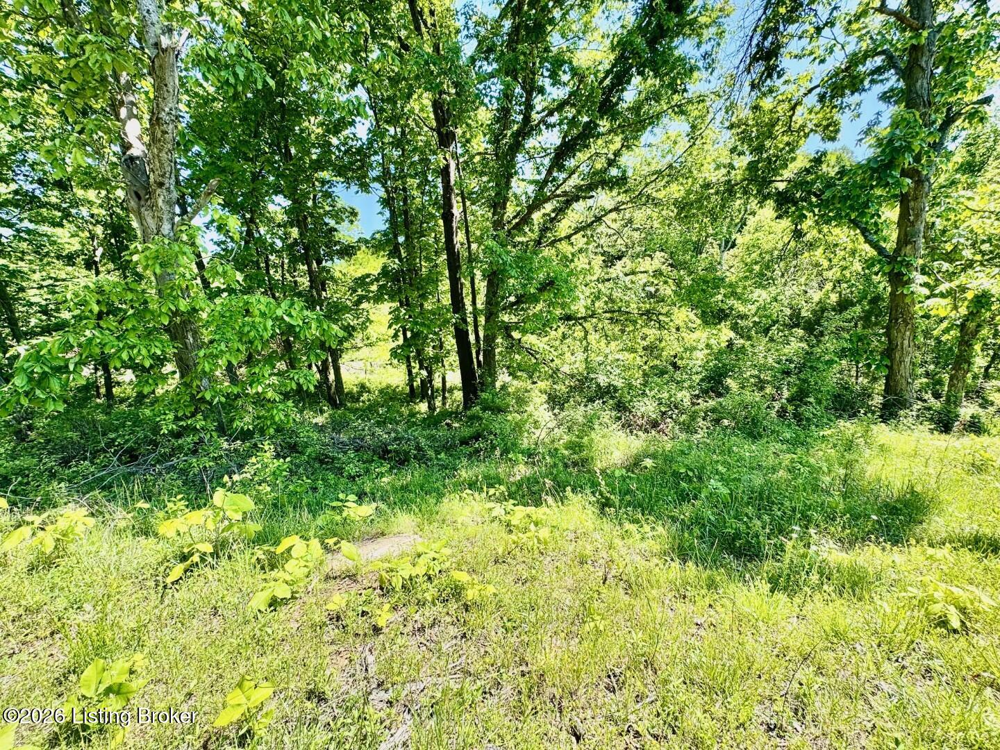 1629 Deep Creek Rd Property Photo 6