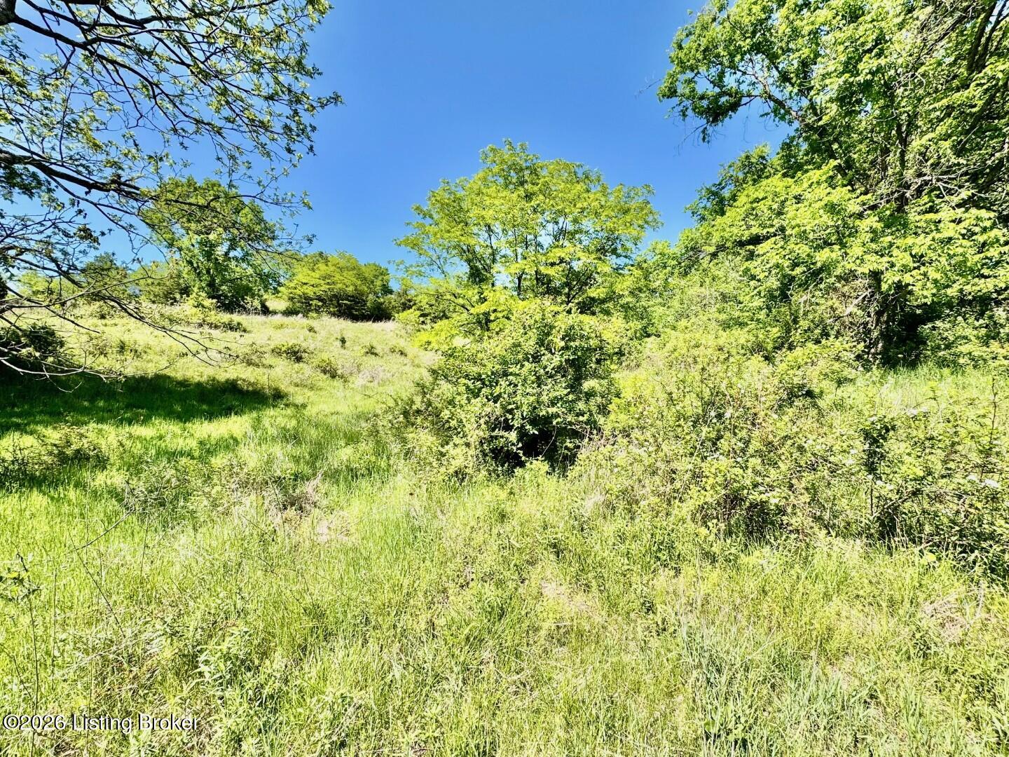1629 Deep Creek Rd Property Photo 7