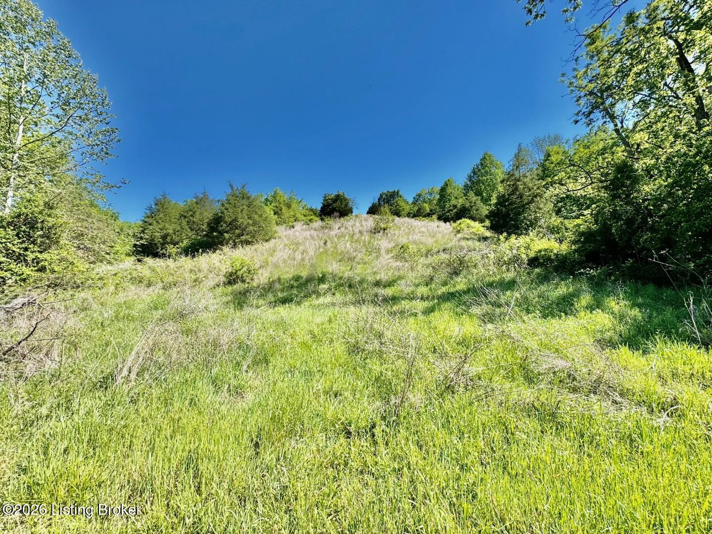 1629 Deep Creek Rd Property Photo 8