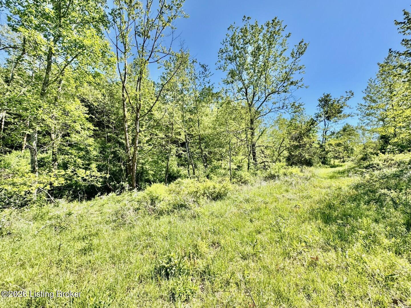 1629 Deep Creek Rd Property Photo 13