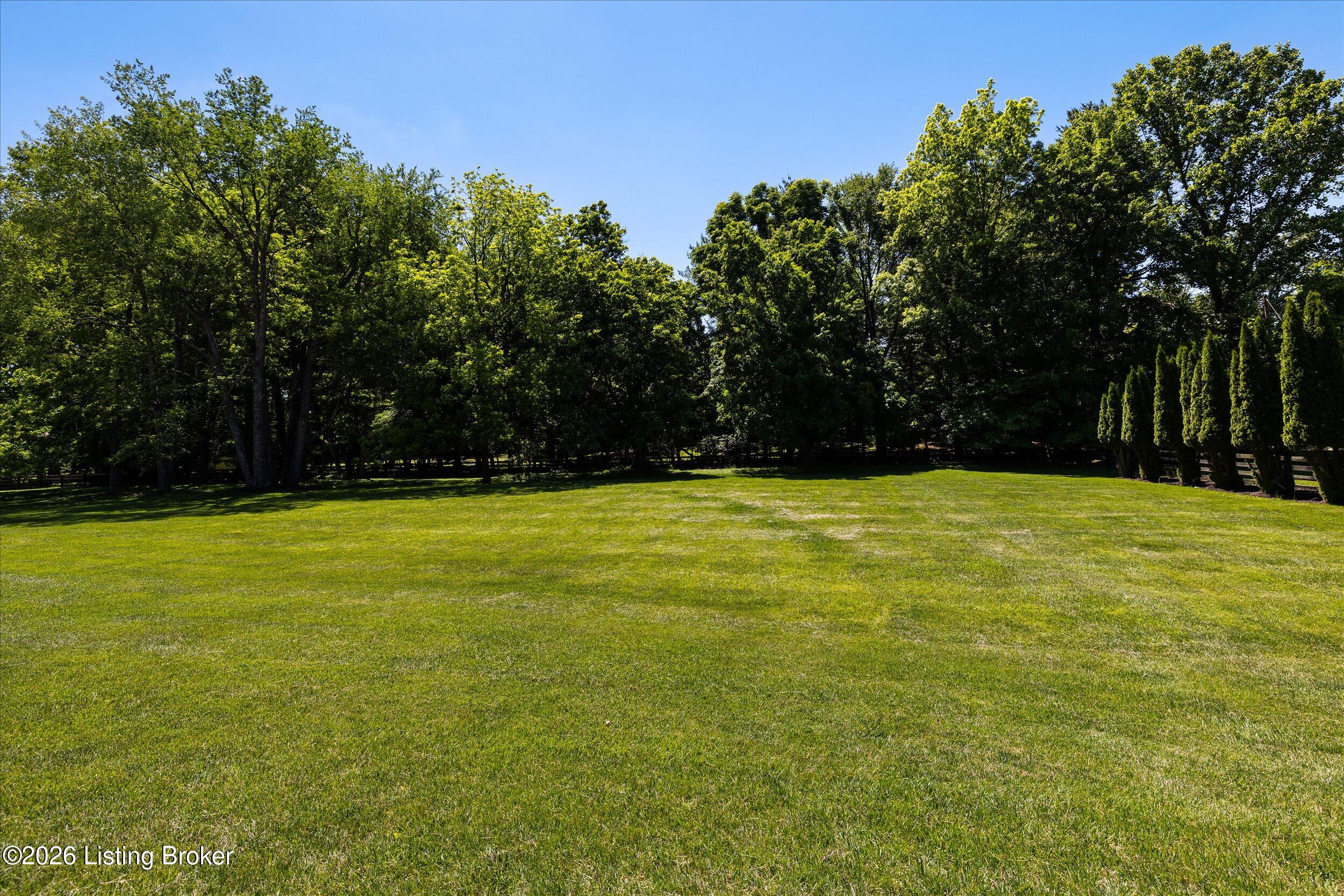 11306 Bodley Dr Property Photo 56
