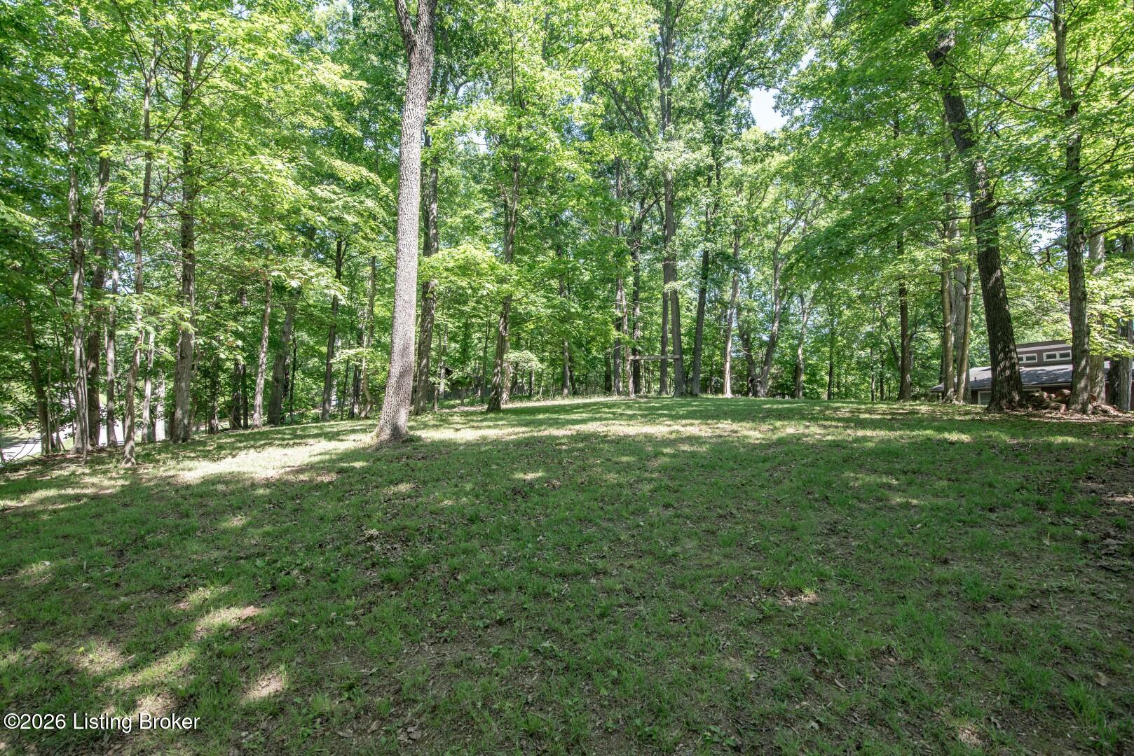 288 Bellemeade St Property Photo 66