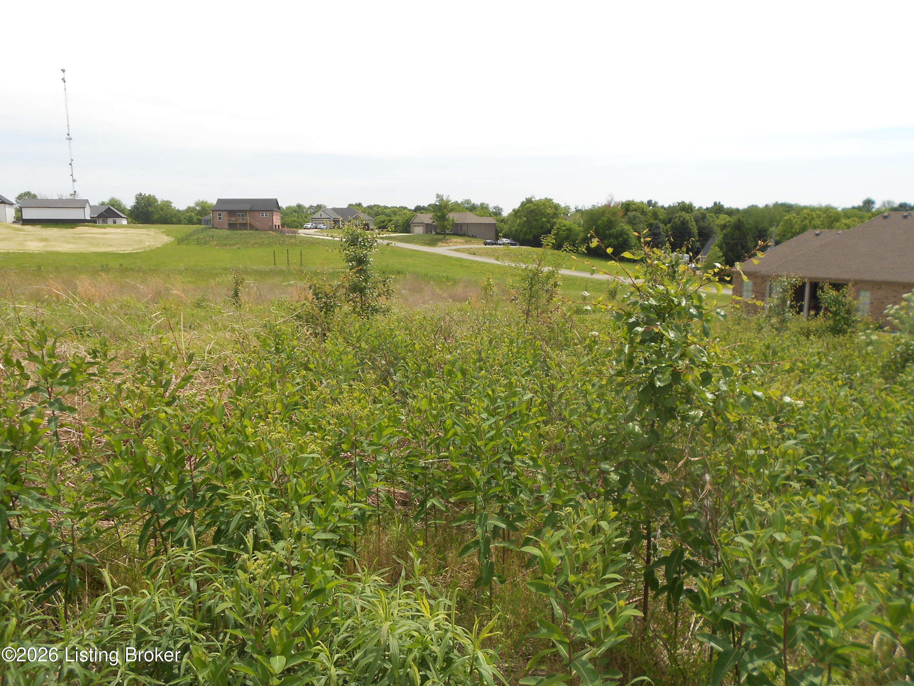 4939 Bloomfield Rd Property Photo 4