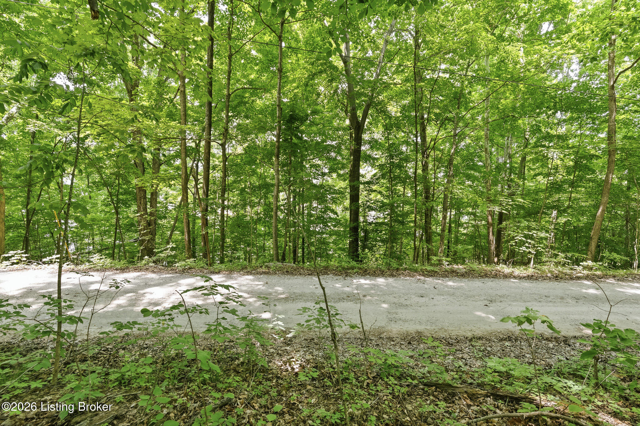 20 Twin Oaks Dr Property Photo 6